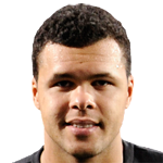 Profile Tsonga